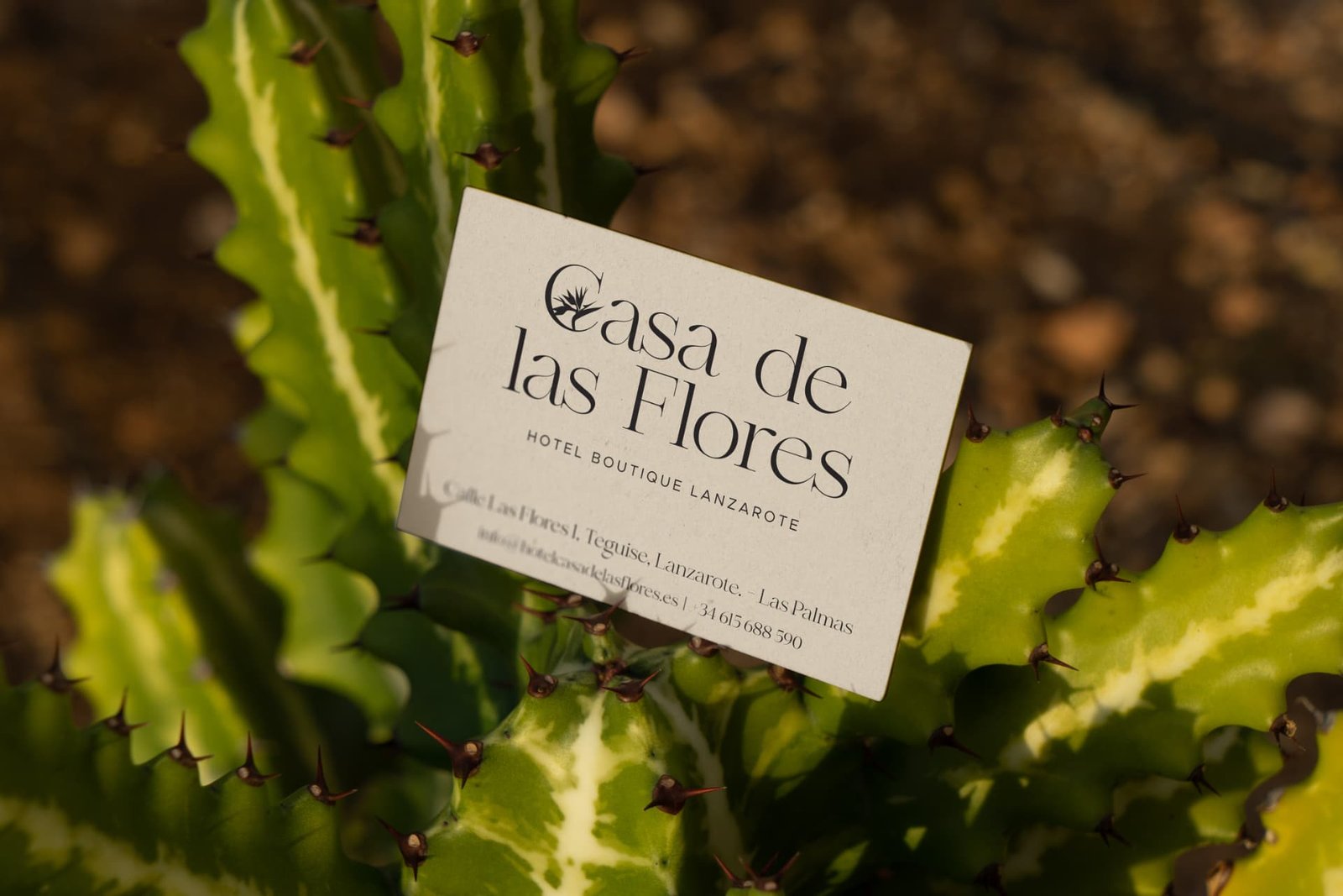 Business cards for Casa de las Flores.