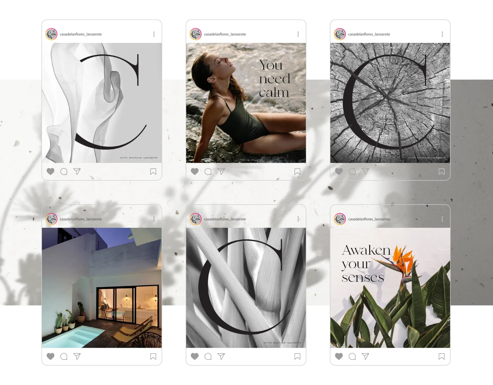 Social media art direction for Casa de las Flores.