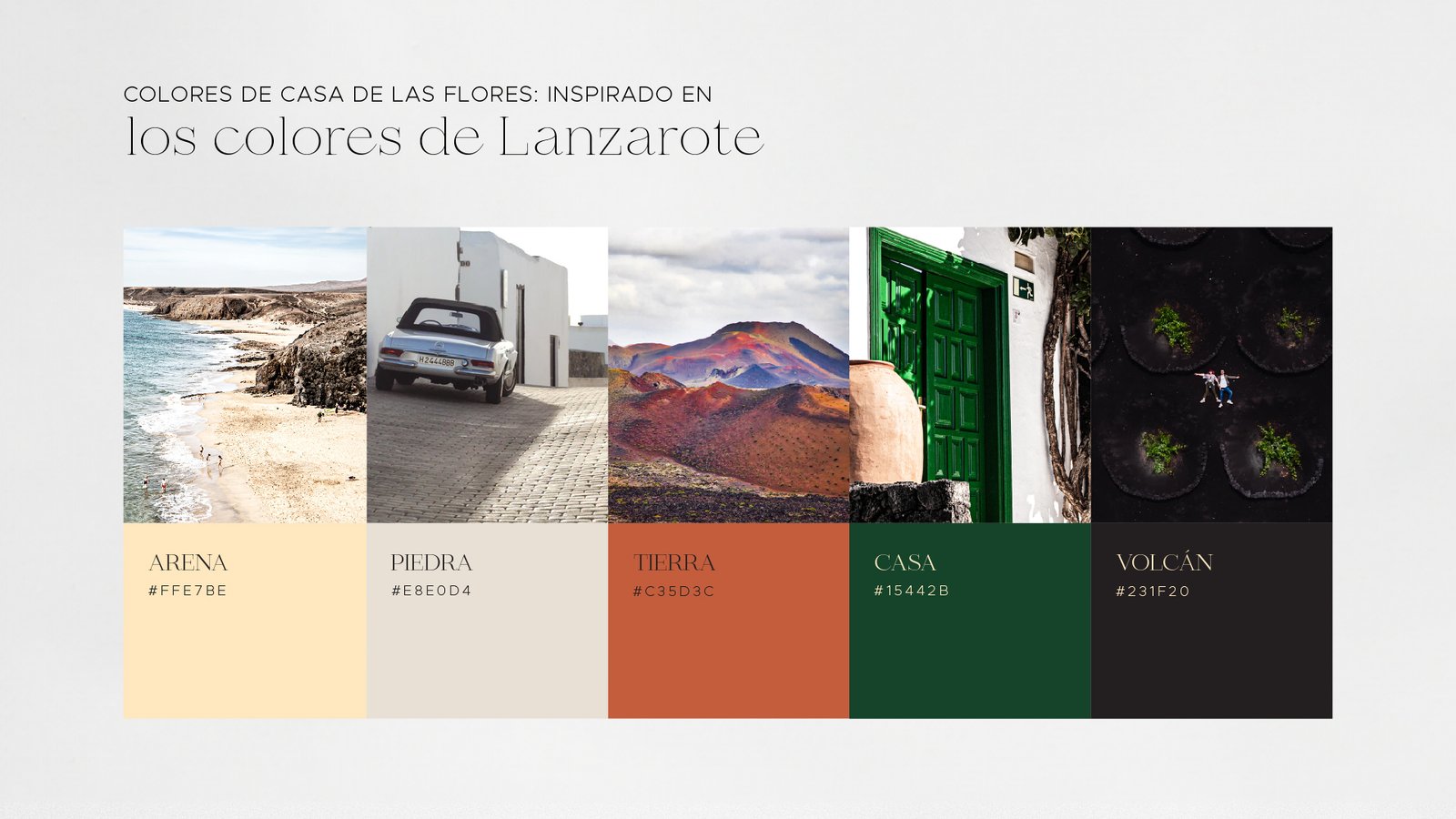 Colour palette of the Casa de las Flores identity.